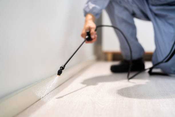 Licensed Pest Control service in Jones Creek, TX - Show Me Pest Control