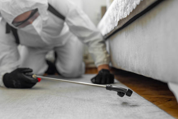 Professional Ant Control technician working in Jones Creek, TX