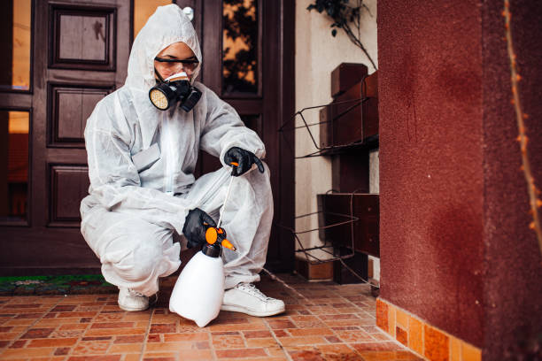 Reliable Wasp Removal contractor in Jones Creek, TX by Show Me Pest Control